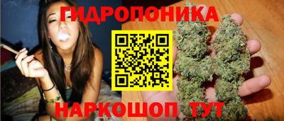 ALPHA PVP Тверь